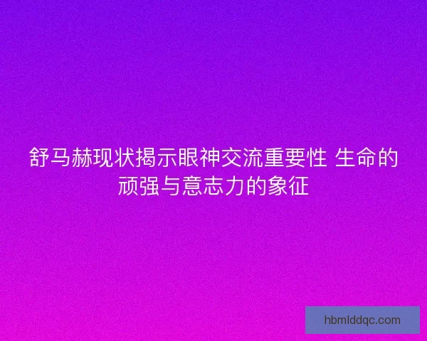 舒马赫现状揭示眼神交流重要性 生命的顽强与意志力的象征